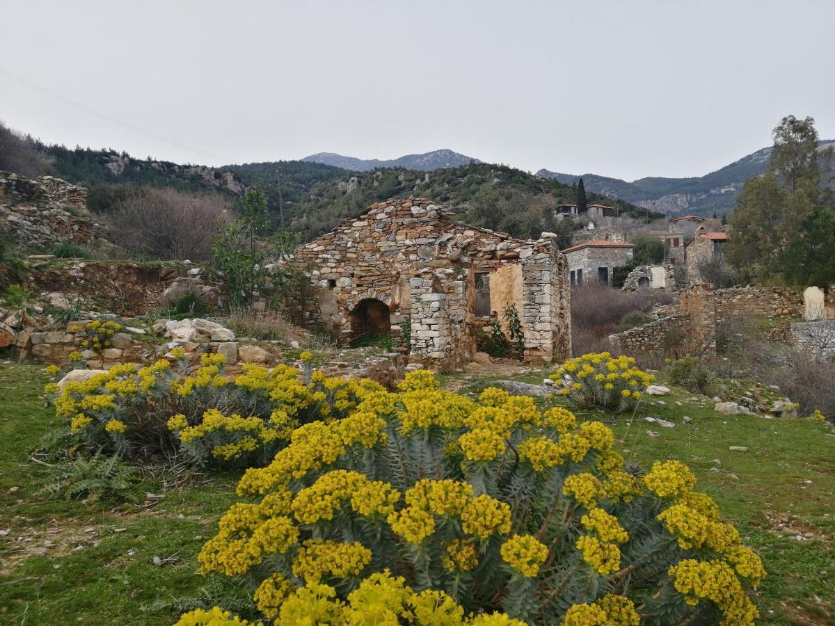 Puli Stone Houses Doğanbey Exterior foto
